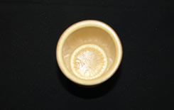 BPCP-3Y (Top View)